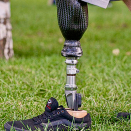 Consultation image 3