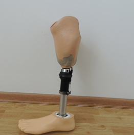 Consultation image 4